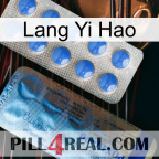 Lang Yi Hao 40